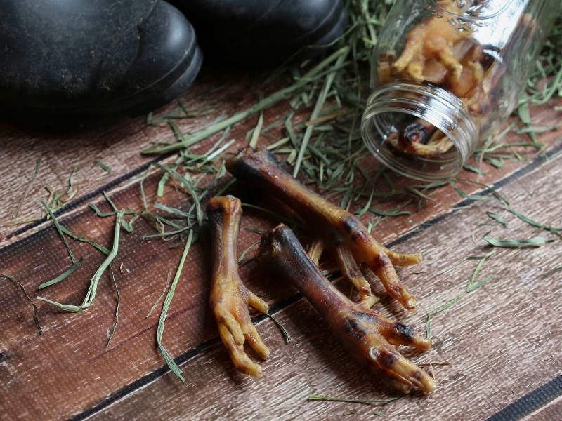 Evan - Image 7 Close-up of chicken feet on a wooden surface, next to a jar containing more chicken feet and scattered hay. Black rubber boots are partially visible in the background, suggesting a farm or rural setting.