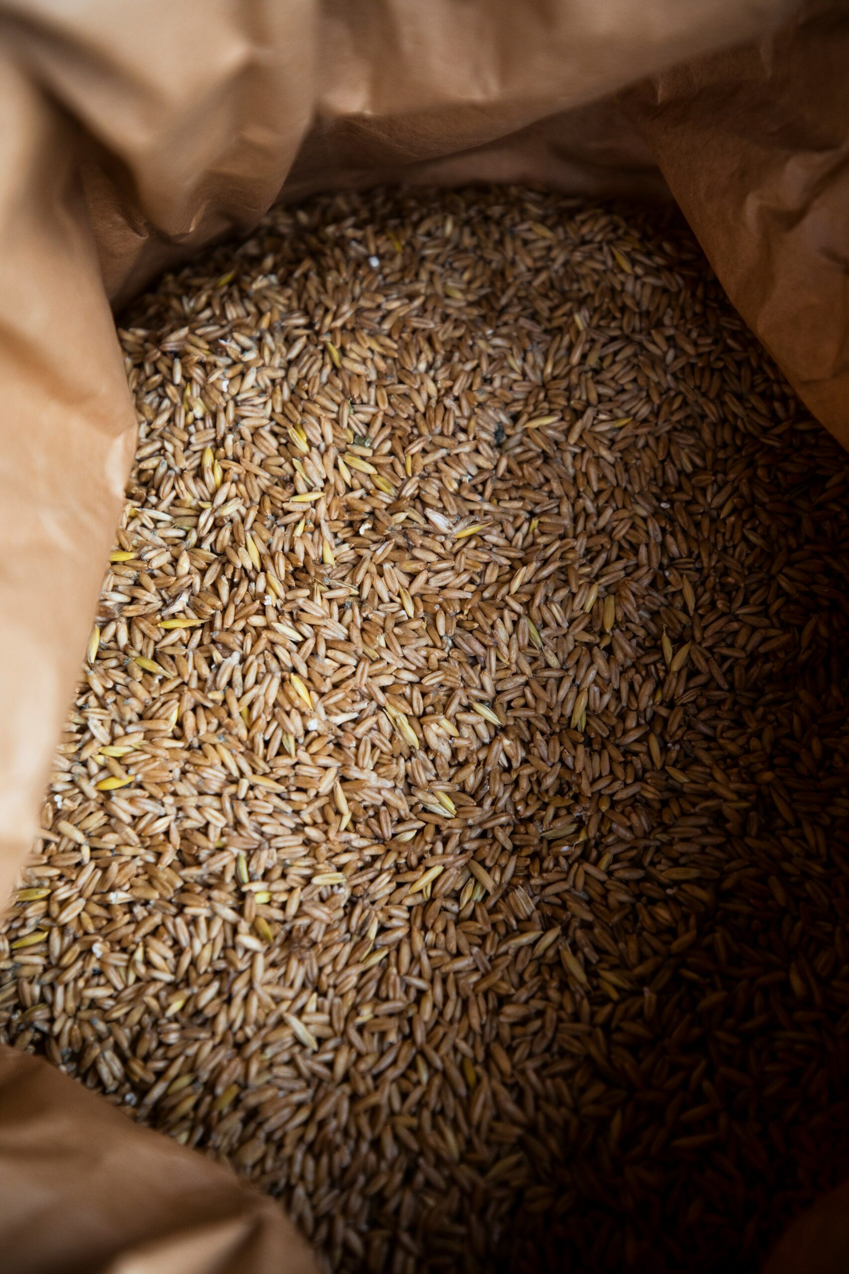 Evan - markus-spiske-ePMRkZGzJcs-unsplash Close-up view of raw grains inside a brown paper bag, highlighting the texture and color of the seeds, ideal for discussions on agriculture, food storage, or grain types.
